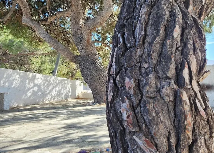 Сasa de vacaciones 1939