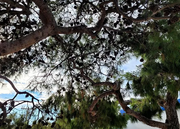 1939 Дом отдыха